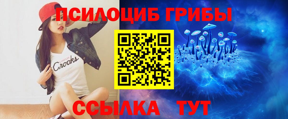 Псилоцибиновые грибы Psilocybe  Вход с VPN  Мурманск  наркошоп  Псилоцибиновые грибы Psilocybe 